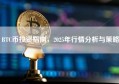 BTC币投资指南，2025年行情分析与策略