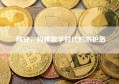 网安，构建数字时代的防护盾