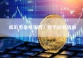 虚拟币是啥东西？新手必看指南