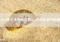 2024年十大币圈钱包App终极评测与指南