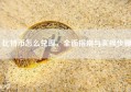 比特币怎么兑现，全面指南与实操步骤