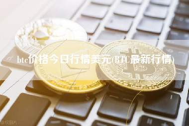 btc价格今日行情美元(BTC最新行情)