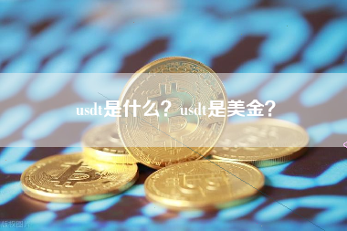 usdt是什么？usdt是美金？