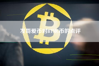 发哥爱币对BTMC币的点评