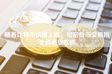 随着比特币价格上涨，加密货币交易所变得更受欢迎