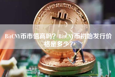 BitCNY币市值高吗？BitCNY币初始发行价格是多少？