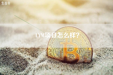 LYM项目怎么样？