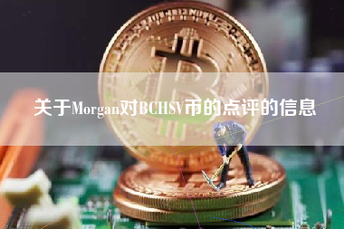 关于Morgan对BCHSV币的点评的信息