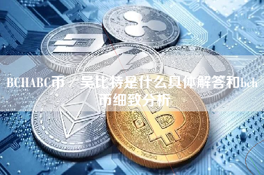 BCHABC币／吴比特是什么具体解答和bch 币细致分析