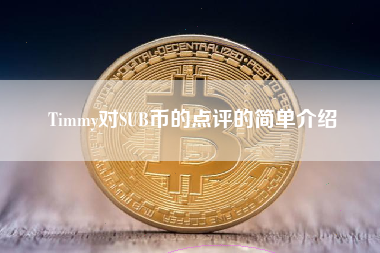 Timmy对SUB币的点评的简单介绍