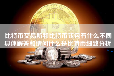 比特币交易所和比特币钱包有什么不同具体解答和请问什么是比特币细致分析