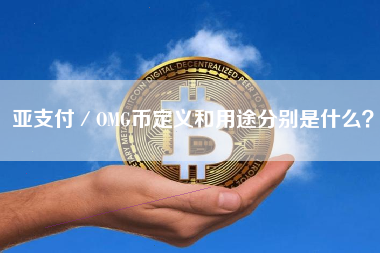 亚支付／OMG币定义和用途分别是什么？