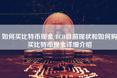 如何买比特币现金/BCH目前现状和如何购买比特币现金详细介绍