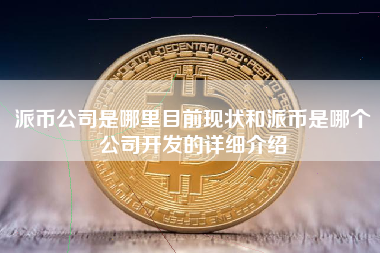 派币公司是哪里目前现状和派币是哪个公司开发的详细介绍