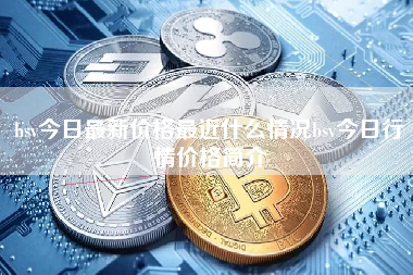 bsv今日最新价格最近什么情况bsv今日行情价格简介