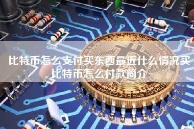 比特币怎么支付买东西最近什么情况买比特币怎么付款简介