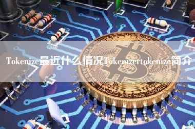 Tokenize最近什么情况Tokenizertokenize简介