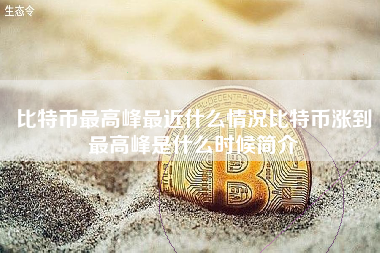 比特币最高峰最近什么情况比特币涨到最高峰是什么时候简介