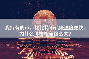 我持有的币，比比特币转账速度更快，为什么价格相差这么大？