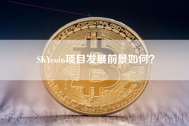 SKYcoin项目发展前景如何？