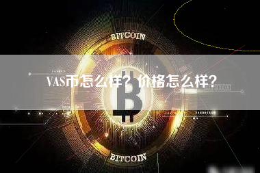 VAS币怎么样？价格怎么样？