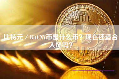 比特元／BitCNY币是什么币？现在还适合入场吗？