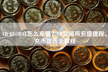 VB GLOBAL怎么充值？VB交易所充值提现、充币提币全教程