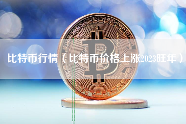 比特币行情（比特币价格上涨2023旺年）