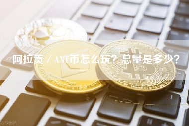 阿拉贡／ANT币怎么玩？总量是多少？