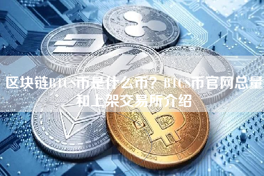 区块链BTCS币是什么币？BTCS币官网总量和上架交易所介绍