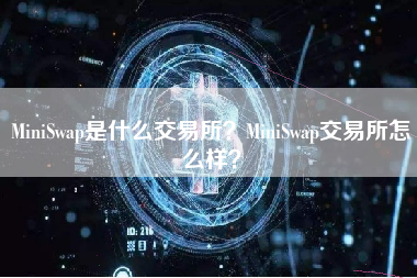 MiniSwap是什么交易所？MiniSwap交易所怎么样？