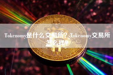 Tokenomy是什么交易所？Tokenomy交易所怎么样？