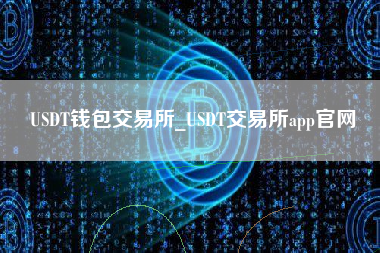 USDT钱包交易所_USDT交易所app官网