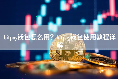 bitpay钱包怎么用？bitpay钱包使用教程详解