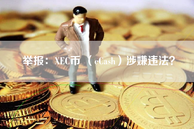 举报：XEC币 （eCash）涉嫌违法？