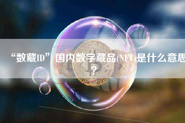 “数藏ID”国内数字藏品(NFT)是什么意思？