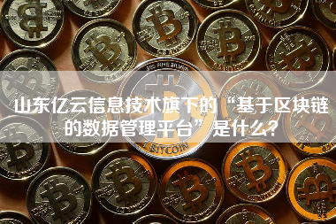 山东亿云信息技术旗下的“基于区块链的数据管理平台”是什么？