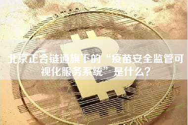 北京正合链通旗下的“疫苗安全监管可视化服务系统”是什么？