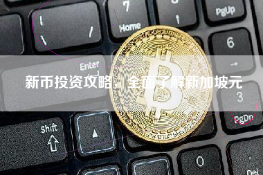 新币投资攻略，全面了解新加坡元