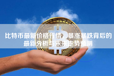 比特币最新价格行情，暴涨暴跌背后的最新分析与未来走势预测