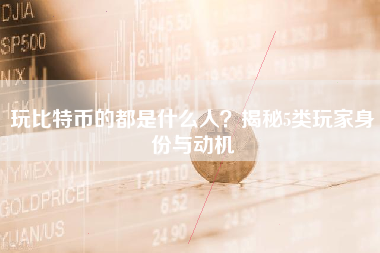 玩比特币的都是什么人？揭秘5类玩家身份与动机