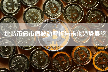 比特币总市值波动解析与未来趋势展望