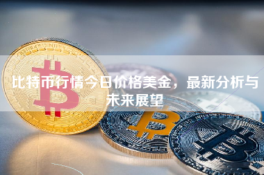 比特币行情今日价格美金，最新分析与未来展望