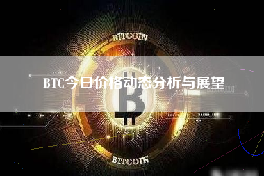 BTC今日价格动态分析与展望