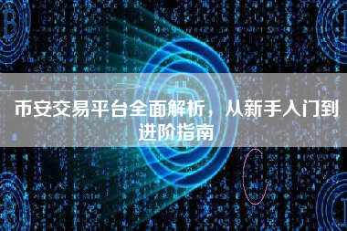 币安交易平台全面解析，从新手入门到进阶指南