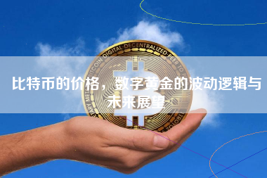 比特币的价格，数字黄金的波动逻辑与未来展望