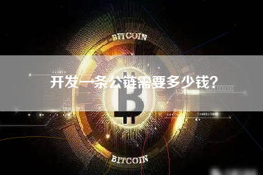 开发一条公链需要多少钱？