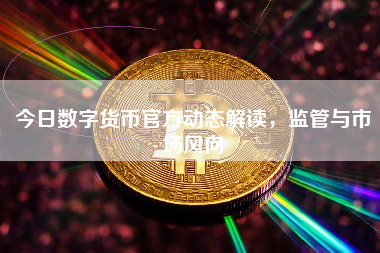 今日数字货币官方动态解读，监管与市场风向