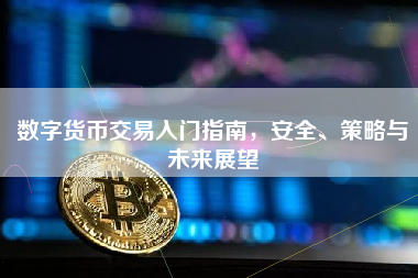 数字货币交易入门指南，安全、策略与未来展望