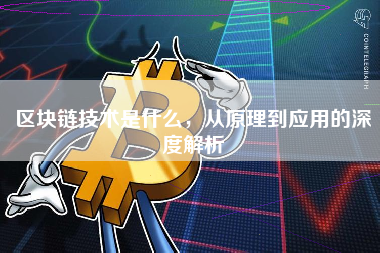 区块链技术是什么，从原理到应用的深度解析